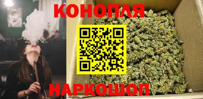 скорость Будённовск