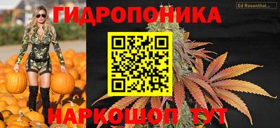 скорость Будённовск