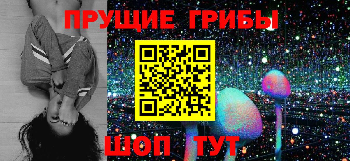 Рязань  Галлюциногенные грибы Psilocybe  Псилоцибиновые грибы ЛСД  Вход с VPN 