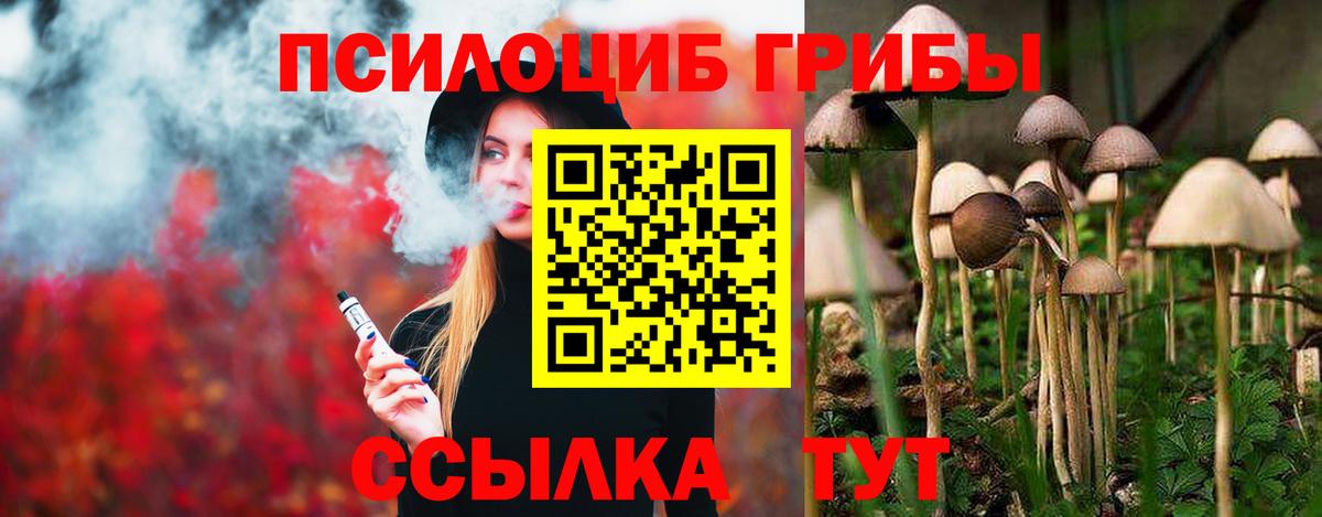 Галлюциногенные грибы Magic Shrooms Рязань